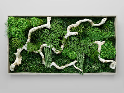 Living Plant Wall Design With Lush Green Plants Natural Twigs Moss And Ferns 3d model