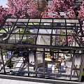 Glass House With Cherry Blossom Trees And Indoor Outdoor Furniture