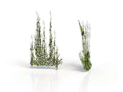 Green Plants With White Background In 3D Model Style Various Heights And Lush Leaves 3d model