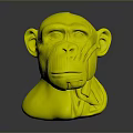 Monkey Head Model With Half White And Red Muscle Anatomy Yellow Eyes
