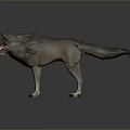 Realistic 3D Wolf Model With Detailed Fur Open Mouth And Sharp Teeth 3d model