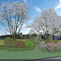 Elegant Trees With White Flowers Green Lawn And Colorful Shrubs Under Blue Sky