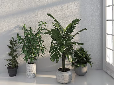 Various Green Potted Plants In Bright Corner By Window With Different Pots 3d model