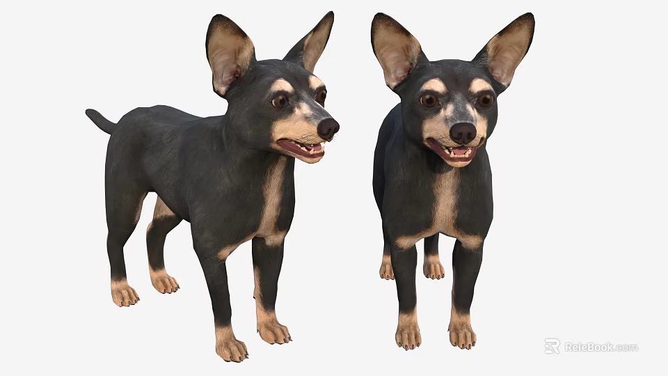 Two Small Black and Tan Dogs Standing with Perky Ears and Friendly Expressions 3d model 