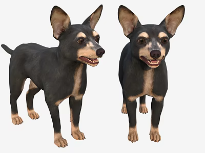 Two Small Black and Tan Dogs Standing with Perky Ears and Friendly Expressions 3d model