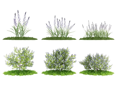 Modern Shrub Shrub Grass 3d model