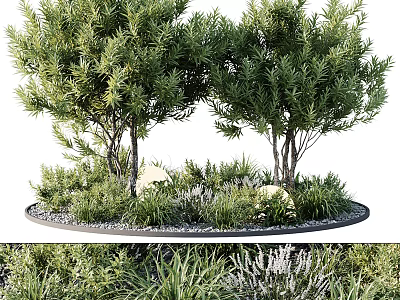 Bonsai Potted Plants Arrangement With Multiple Trees Circular Base And Decorative Pebbles 3d model