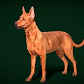 Brown Dog Standing In Alert Posture With Sleek Coat On Green Background