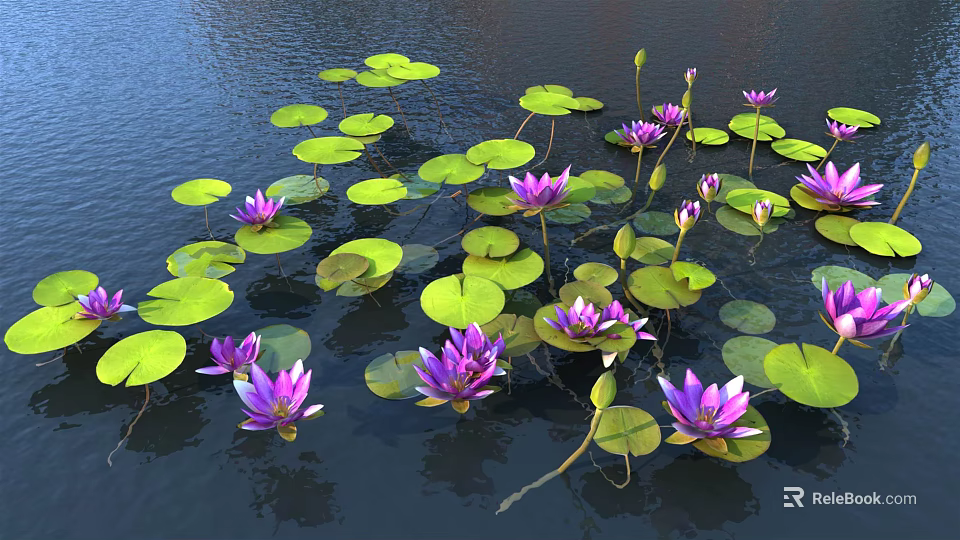 Vibrant Purple Water Lilies And Green Lily Pads Floating On Calm Water Surface 3d model 