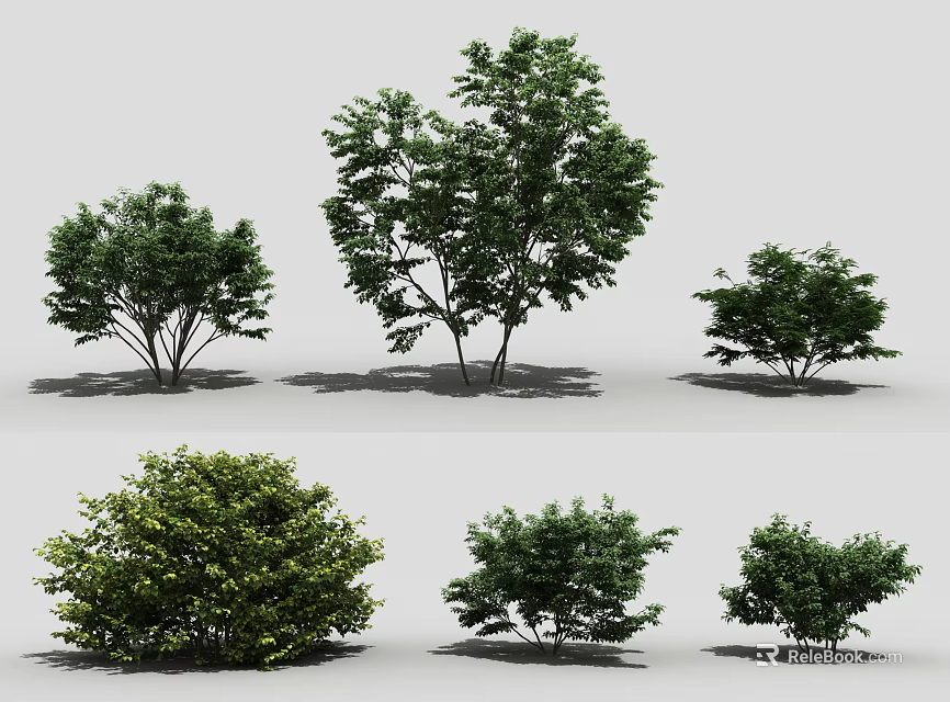 Various Types Of Shrubs With Different Sizes And Lush Green Foliage For Landscaping 3d model 