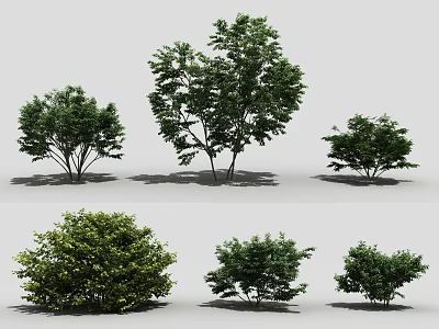 Various Types Of Shrubs With Different Sizes And Lush Green Foliage For Landscaping 3d model