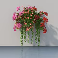Bonsai Potted Plant with Pink Red Flowers Hanging Vines and Green Leaves