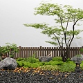 Japanese-style courtyard micro-landscape maple landscape tree moss plant landscaping courtyard sketch landscape stone 3d model