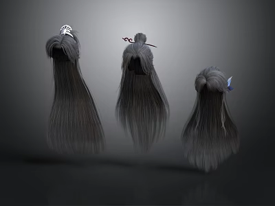 3D Long Gray Hair Models With Different Angles And Hair Accessories 3d model