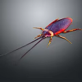 Reddish Purple Cockroach With Long Antennae And Yellow Legs On Gray Background