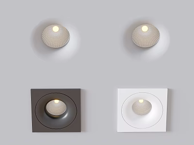 Modern Design Downlights Spotlights With Round Square Bases Illuminated In Black White 3d model