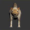 Detailed Light Brown Squirrel Model With Long Tail And Textured Fur On Dark Reflective Surface