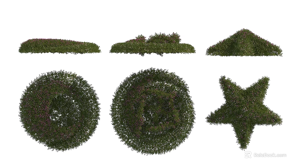 Beautiful Flower Topiary Artworks In Various Shapes Including Circular And Star Designs 3d model 