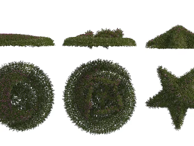 Beautiful Flower Topiary Artworks In Various Shapes Including Circular And Star Designs 3d model