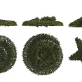Beautiful Flower Topiary Artworks In Various Shapes Including Circular And Star Designs