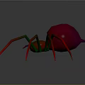 Colorful Spider with Red Body Green and Red Gradient Legs and Purple Mouthparts