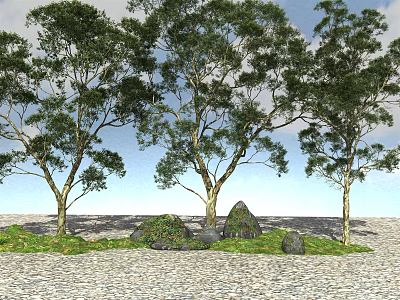 Tall Green Arbor Trees With Lush Foliage And Stones On Grassy Ground 3d model