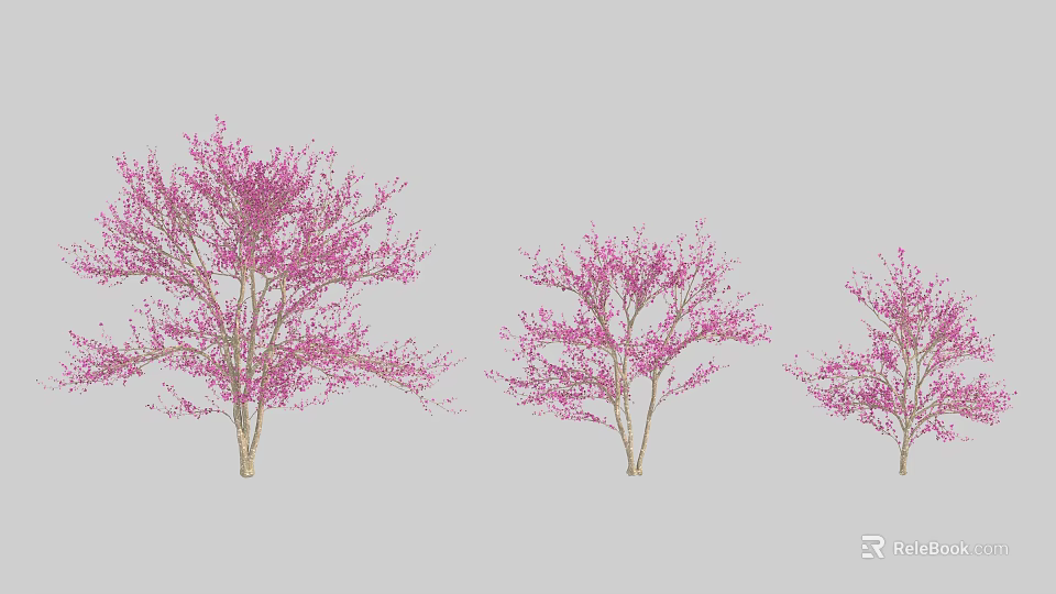 Three Beautiful Pink Flowering Trees in Different Sizes for Garden Landscape 3d model 
