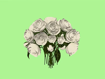 Fresh White Roses Flower Bouquet Against Green Background With Lush Petals 3d model