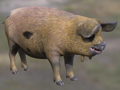 Brown Pig With Black Spots Round Body Large Droopy Ears Open Mouth Stocky Legs 3d model