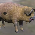 Brown Pig With Black Spots Round Body Large Droopy Ears Open Mouth Stocky Legs