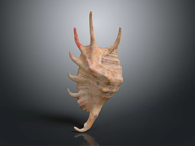 Organic Shell Structure With Hairy Surface And Spiny Projections On Dark Background 3d model