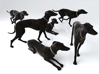 Black Reptile Figurines In Different Poses With Collars On White Surface 3d model