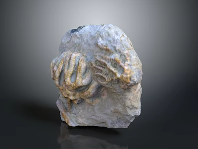 Ancient Prehistoric Marine Animal Fossil Embedded in Detailed Natural Stone Formation 3d model