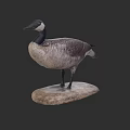 Stuffed Goose Taxidermy Mount On Natural Stone Base With Dark Background