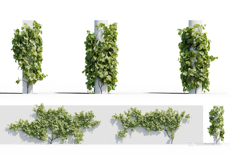 Green Vines With Lush Foliage Decorating Pillars And Walls In Various Styles 3d model 
