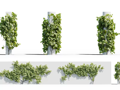 Green Vines With Lush Foliage Decorating Pillars And Walls In Various Styles 3d model