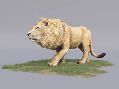 Lifelike Reptile Figure Standing on Green Grass Against Gray Background 3d model