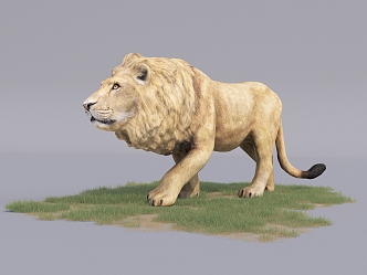 The Modern Lion 3d model