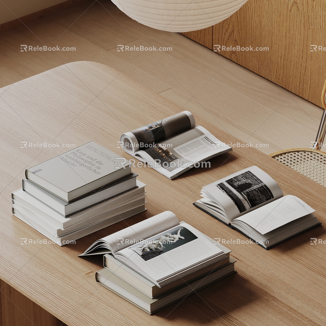 Modern Book Book Ornaments 3d model