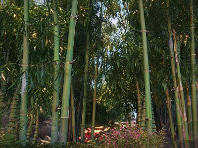 Lush Arbor Trees with Tall Green Trunks and Sunlight Filtering Through Dense Leaves 3d model