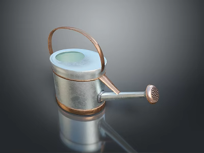 Durable Metal Watering Can With Copper Handle Silver Body Transparent Lid And Spout 3d model