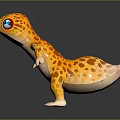 Lizard Anime Lizard Chameleon Cartoon Lizard Reptile Cold Blooded Animal Reptile Class 3d model