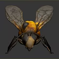 Detailed 3D Rendered Bee With Yellow Black Body Transparent Wings On Dark Background