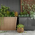 Wooden and Black Garden Planters With Various Green Plants Ferns and Outdoor Bamboo Screen
