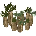 Bonsai Potted Plants With Various Unique Shaped Pots And Lush Green Foliage