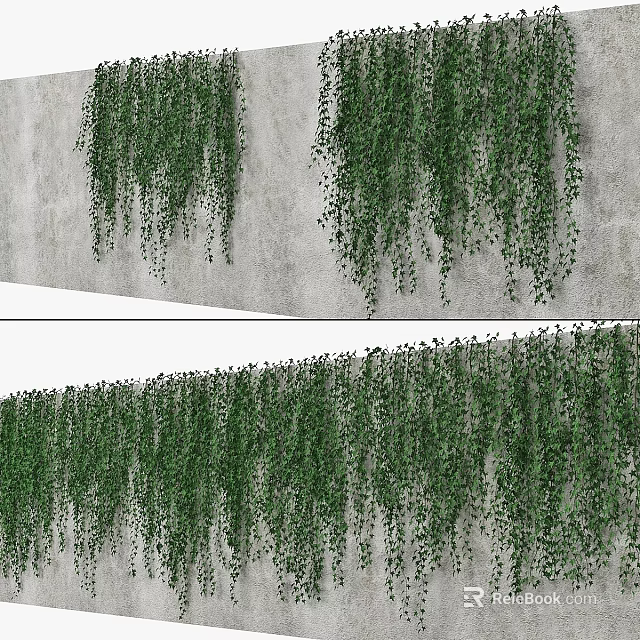 Lush Green Hanging Vines as Decorative Garden Elements on Gray Concrete Wall 3d model 