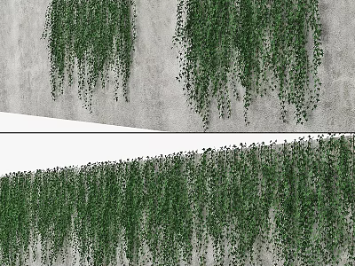 Lush Green Hanging Vines as Decorative Garden Elements on Gray Concrete Wall 3d model