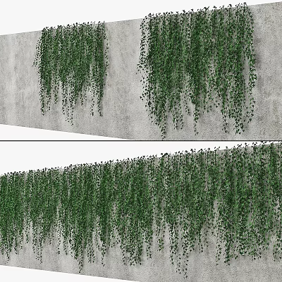 Lush Green Hanging Vines as Decorative Garden Elements on Gray Concrete Wall 3d model