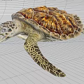 Sea Turtle With Brown And Orange Shell Spotted Head Patterned Flippers Open Mouth 3d model