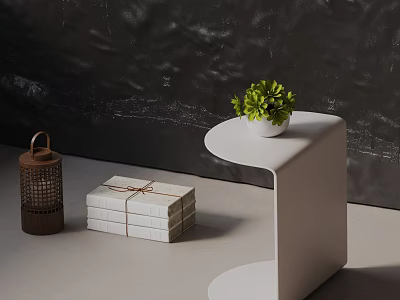 Modern White Minimalist Side Table With Small Green Plant Wooden Lantern And Tied Box Stack 3d model